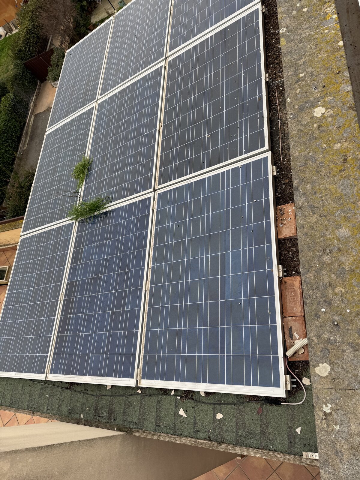 Pannelli fotovoltaici sporchi con erba e depositi prima della pulizia